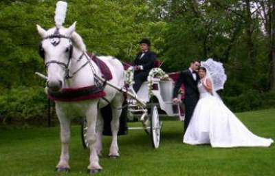 Horse Drawn Carriages