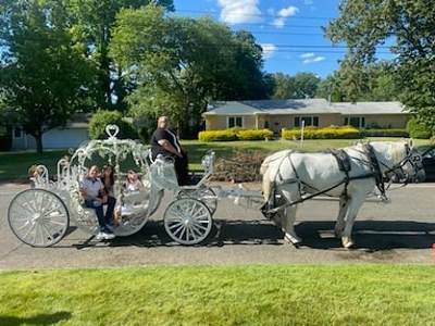 Horse Drawn Carriages