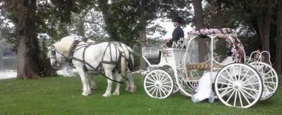 Horse Drawn Carriages